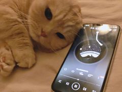 -四海游龙(大华店)