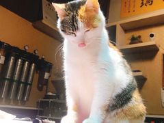 -天一朴素(武汉大学店)