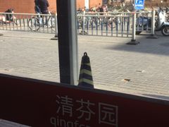 -清华大学-清芬园