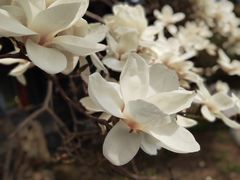 -北京鲁迅博物馆(北京新文化运动纪念馆鲁博馆区)