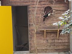 -宁波野生动物园
