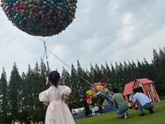 -黄海国家森林公园