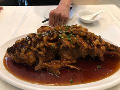 老济南糖醋鲤鱼-金春禧(世茂国际广场店)