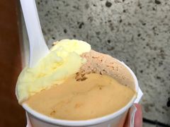 大米藏红花-Dip in Gelato(富民路店)