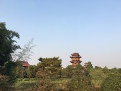 -南海禅寺