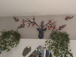 -木北护肤造型