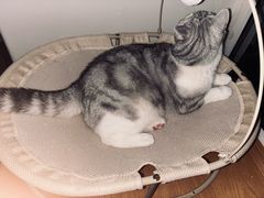 -南拳十三姨·潮汕砂锅粥·粤菜(西单大悦城店)