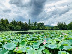 -印象西湖·最忆是杭州实景演出