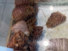 -京八珍(虎坊桥店)