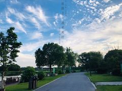 -荷塘月色湿地公园·向阳花洲
