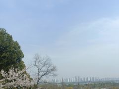 -苏州上方山国家森林公园