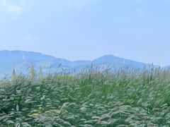 -良渚古城遗址公园