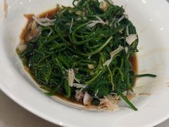-金鼎轩(方庄天坛店)