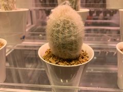 -KKV(深圳宏发大仟里店)