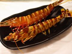 花竹虾-鲜入围煮花胶鸡海鲜火锅