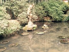 黄龙洞圆缘民俗园-杭州黄龙洞