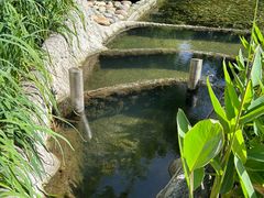 -成都市活水公园