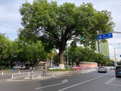 -牛街洪记小吃店(牛街店)