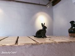 -铃木食堂(帽儿胡同店)