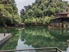 -云南屏边大围山国家公园