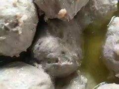 -16年老字号鑫鑫猪肚鸡·椰子鸡海南火锅(兴隆华侨农场店)