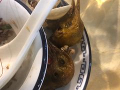 红烧乳鸽-一煲鸽