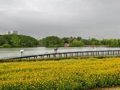 -海珠湖公园