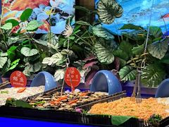 -千家粗粮王海鲜牛排自助餐(西宁海湖万达广场店)