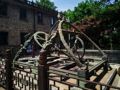-紫金山天文台