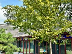 -护国法轮寺