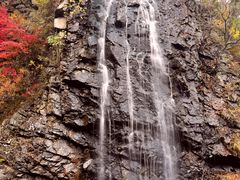 -龙道沟景区