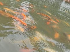 -上海方塔园