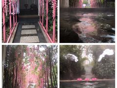 -宁波杭州湾海底温泉