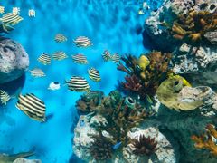 -福州罗源湾海洋世界旅游区