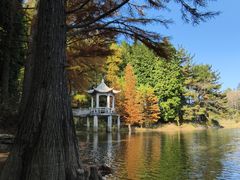 -四明山国家森林公园