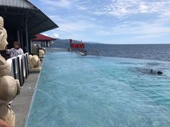-海盗餐厅