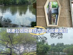 -晓港公园