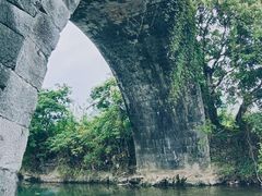 -会仙湿地