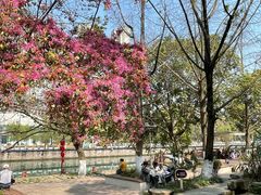 -成都市活水公园