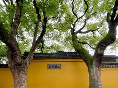 -西园戒幢律寺