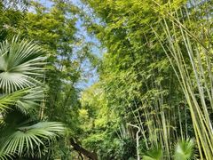 -人民公园(罗湖区)