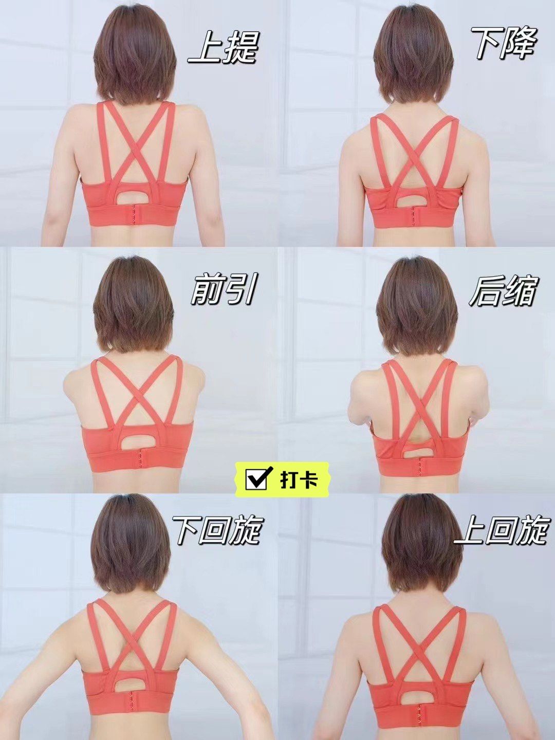 0569♀15

73正确的沉肩,是肩胛骨处于上回旋状态,肩胛