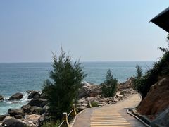 -广东惠东海龟国家级自然保护区
