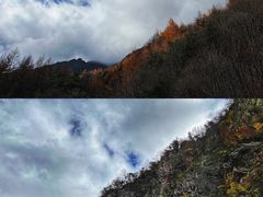 -秦岭风景区
