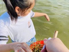 -碧海金沙