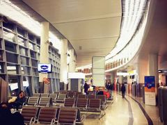 -谢列梅捷沃国际机场