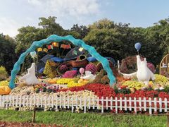 -上海共青森林公园