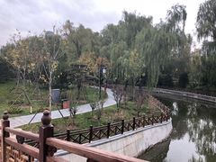-迎泽公园