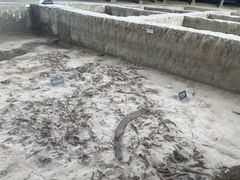 -金沙遗址博物馆