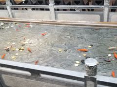 -四季民福烤鸭店(前门店)